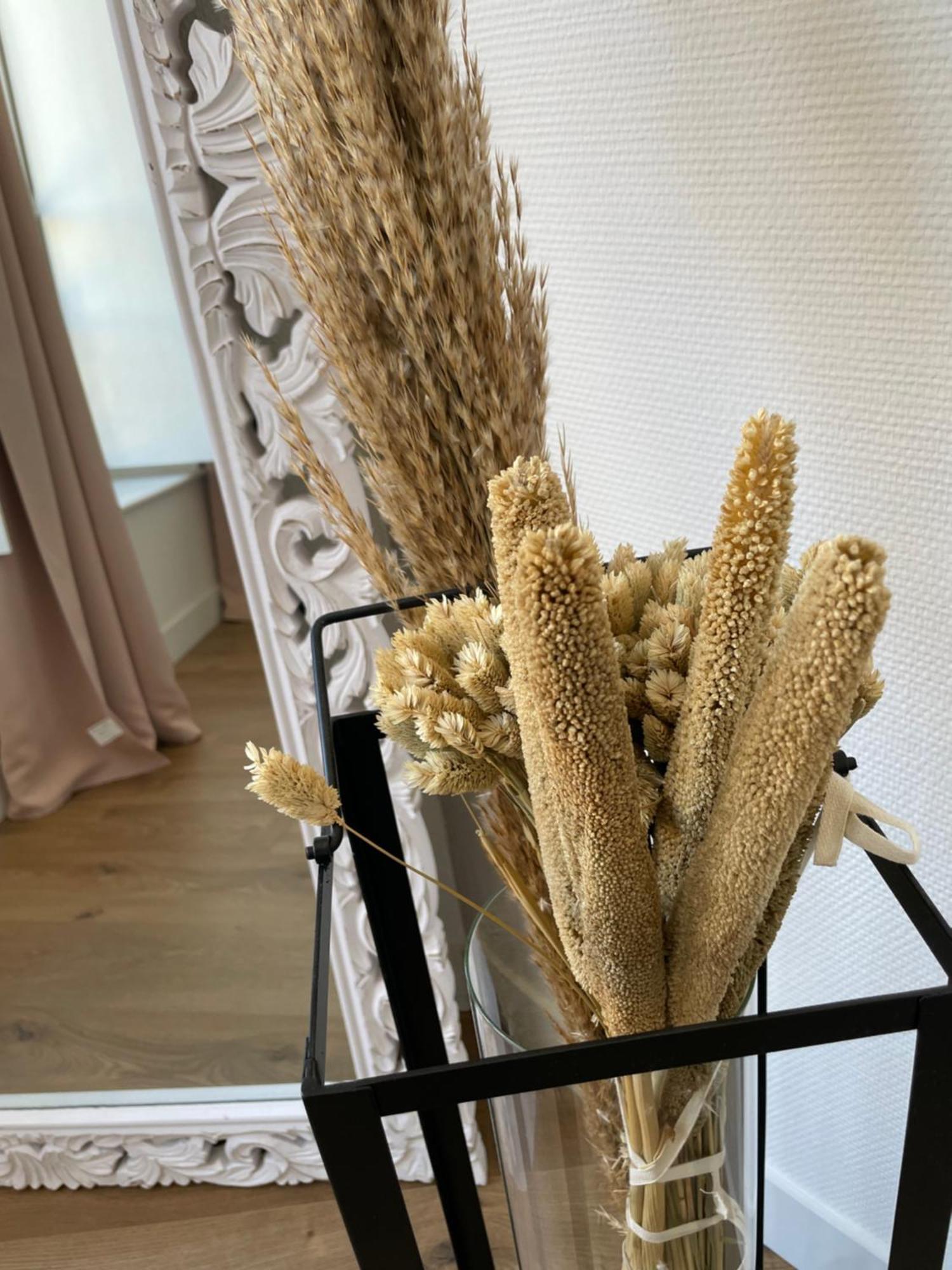 Apartament Au Coeur Du Centre Historique De Sarlat Zewnętrze zdjęcie